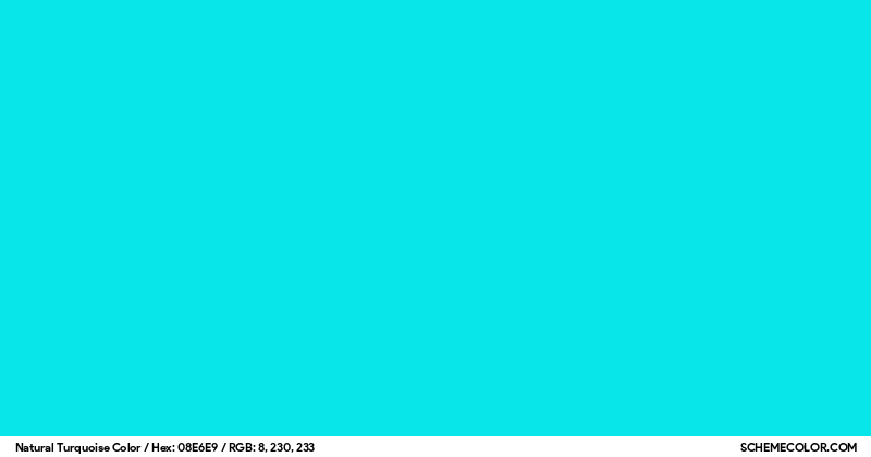 Turkio Color Natural Turquoise Color - Colors - SchemeColor.com