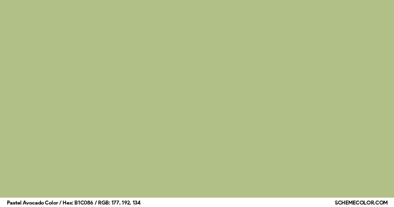 Solid Avocado Color Pastel Avocado Color - Colors - SchemeColor.com