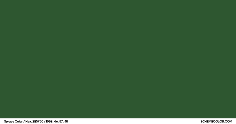 Dark Spruce Color Code Spruce Color - Colors - SchemeColor.com