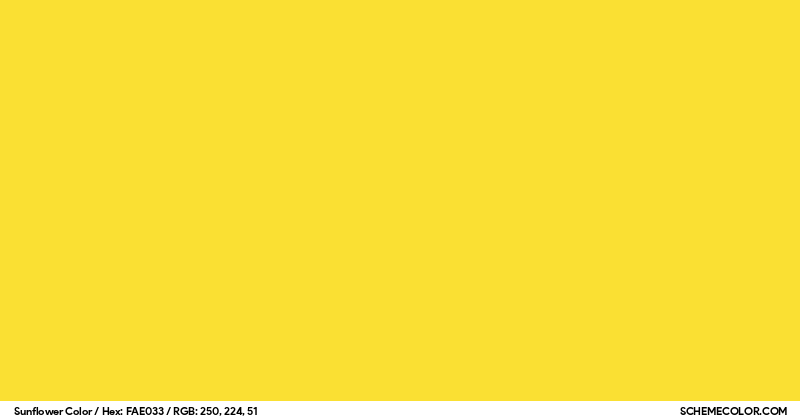 Sunflower Color - Colors - SchemeColor.com