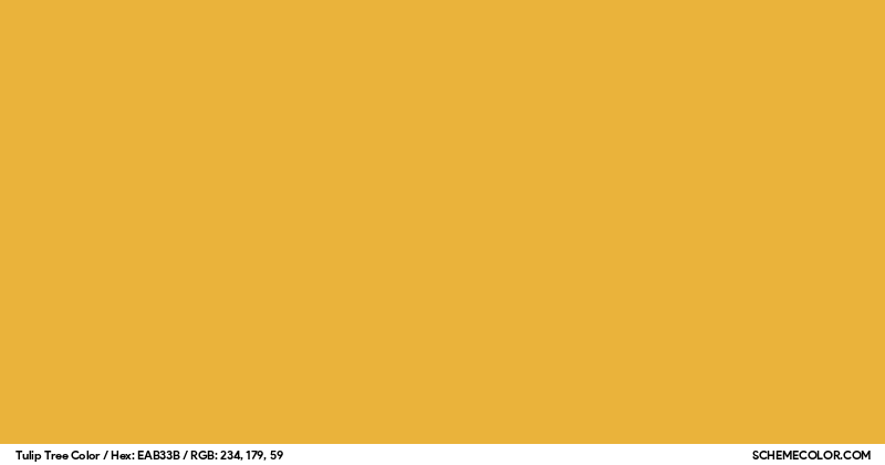 Color Preview Image of EAB33B