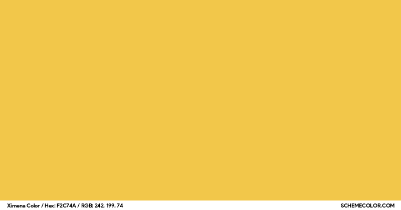 Color Ximenta Ximena Color - Colors - SchemeColor.com