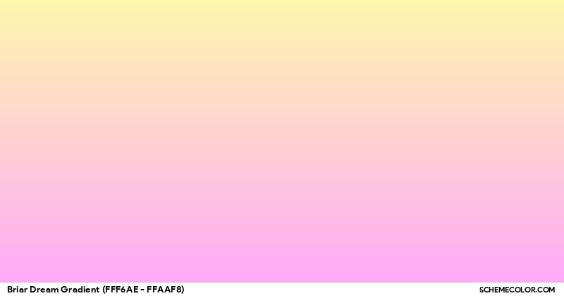 Color Palette image