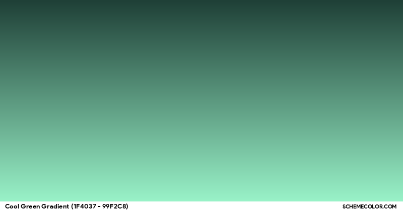 Color Palette image