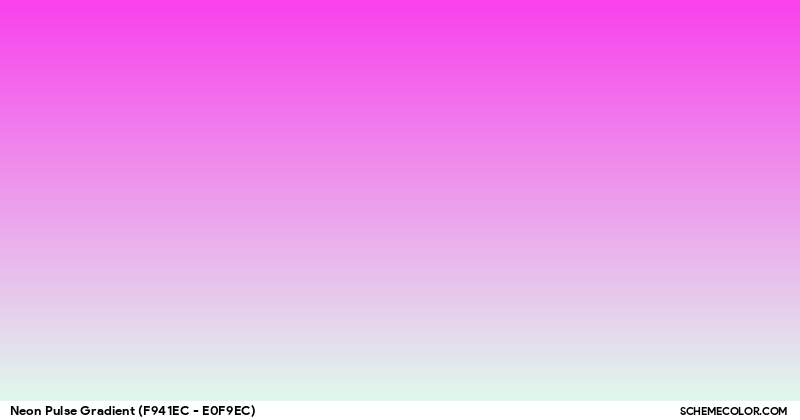 Color Palette image