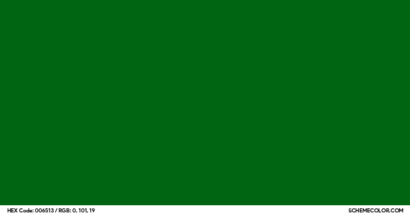 #006513 Hex Color Code - SchemeColor.com