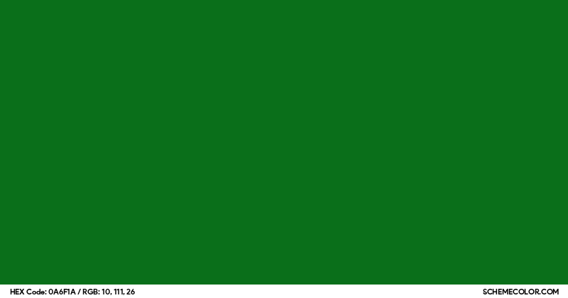 #0A6F1A Hex Color Code - SchemeColor.com