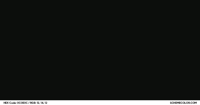 Image of #0C0E0C color code