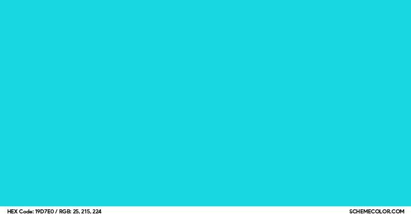 Image of #19D7E0 color code