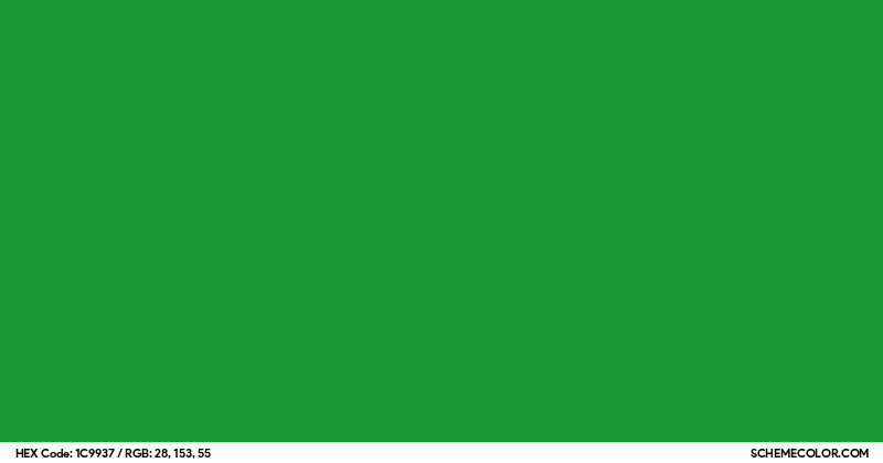 Image of #1C9937 color code