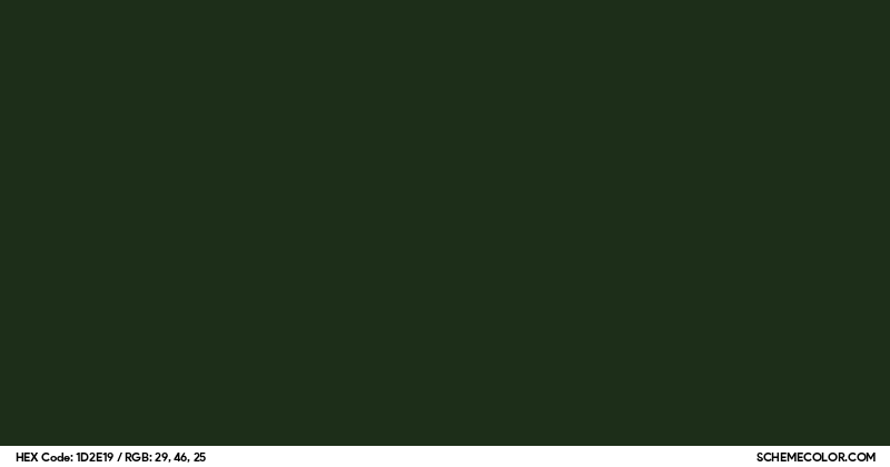 Image of #1D2E19 color code