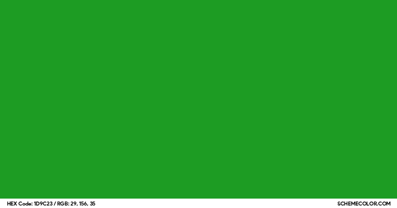 #1D9C23 Hex Color Code - SchemeColor.com