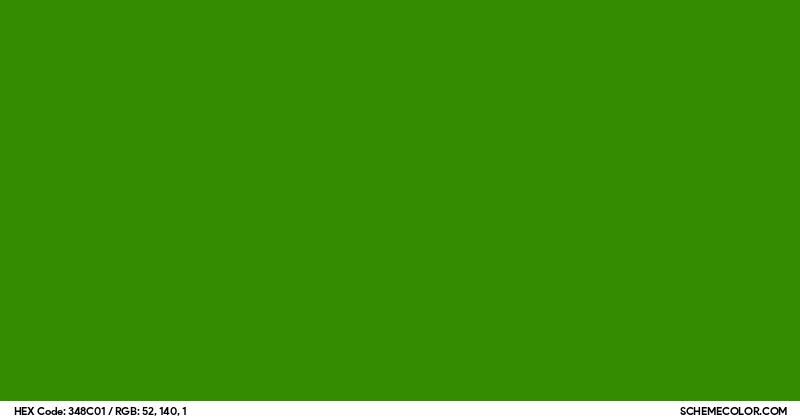 #348C01 Hex Color Code - SchemeColor.com