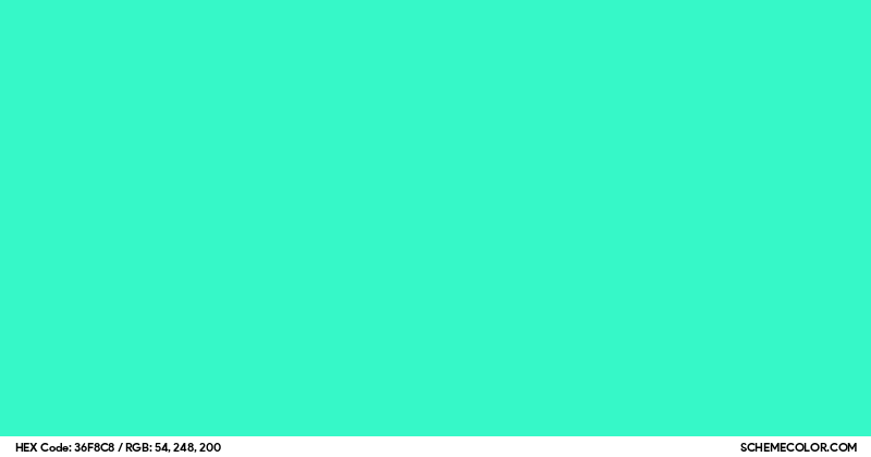 Image of #36F8C8 color code