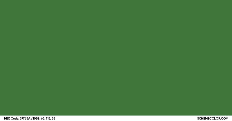 #3F763A Hex Color Code - SchemeColor.com