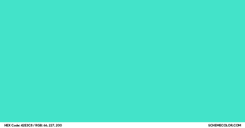 #42E3C8 Hex Color Code - SchemeColor.com