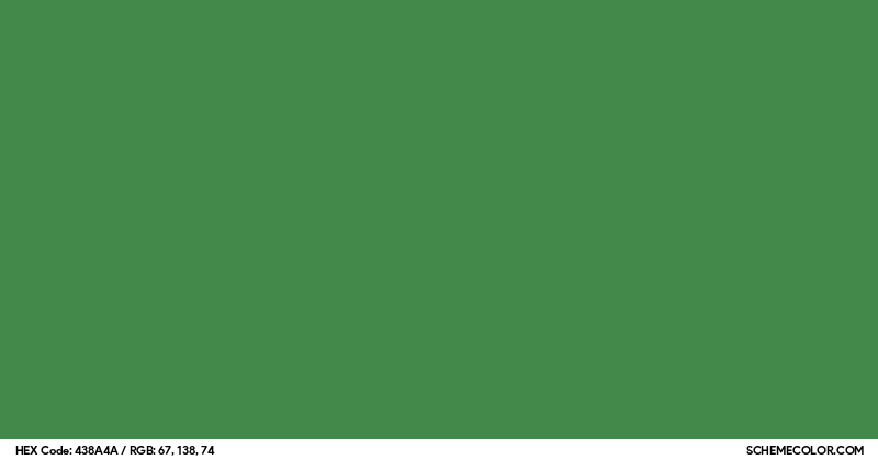 #438A4A Hex Color Code - SchemeColor.com