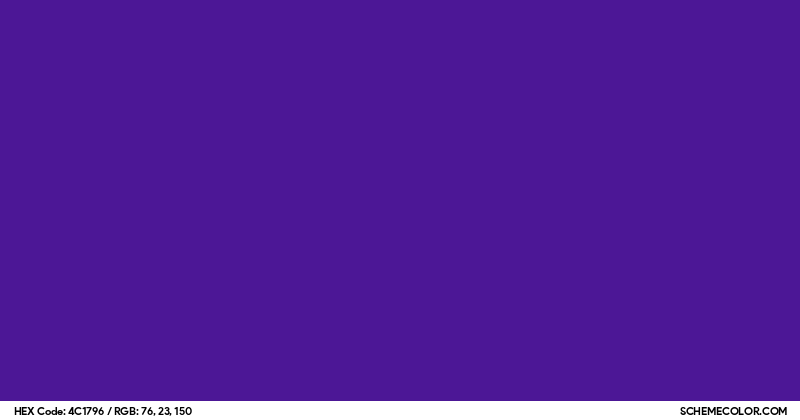 #4C1796 Hex Color Code - SchemeColor.com