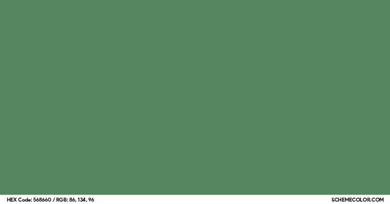 Image of #568660 color code