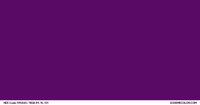 #590A65 Hex Color Code - SchemeColor.com