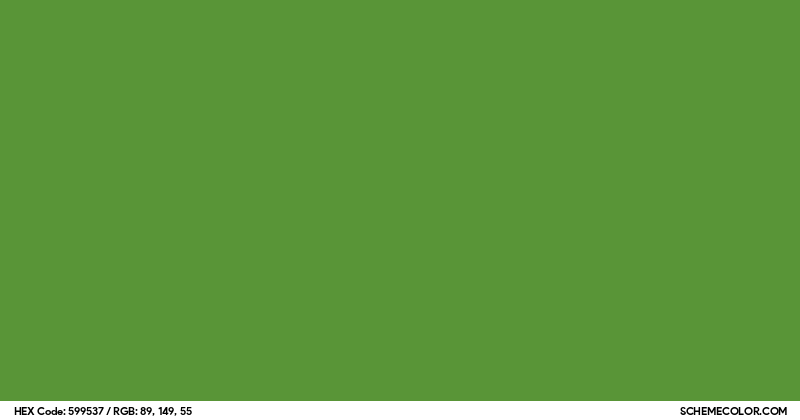 Image of #599537 color code