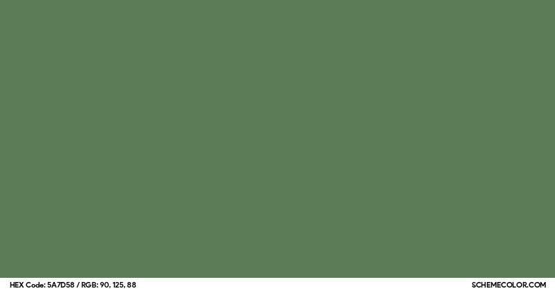 #5A7D58 Hex Color Code - SchemeColor.com