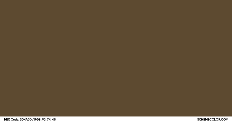 Image of #5D4A30 color code