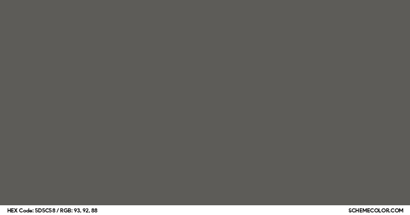 #5D5C58 Hex Color Code - SchemeColor.com