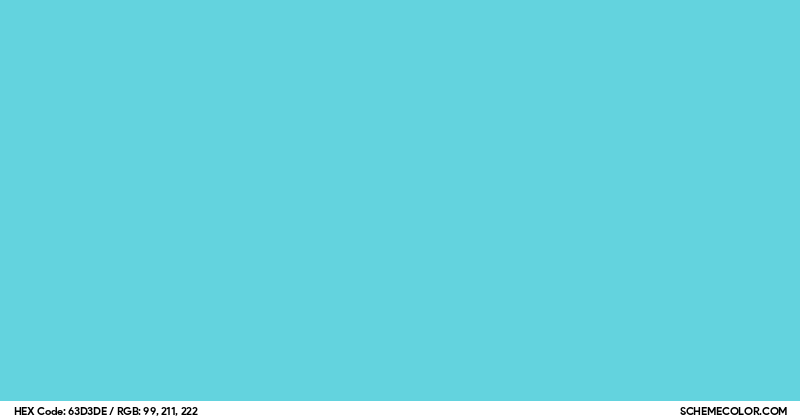 #63D3DE Hex Color Code - SchemeColor.com