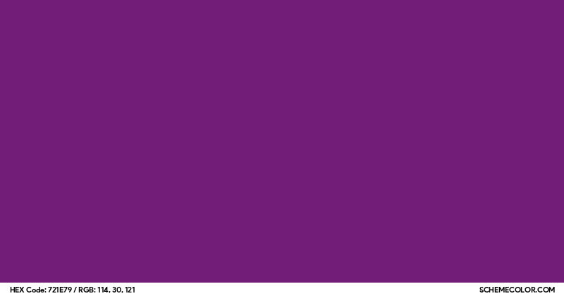 #721E79 Hex Color Code - SchemeColor.com
