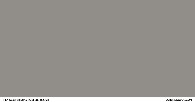 Image of #918E8A color code