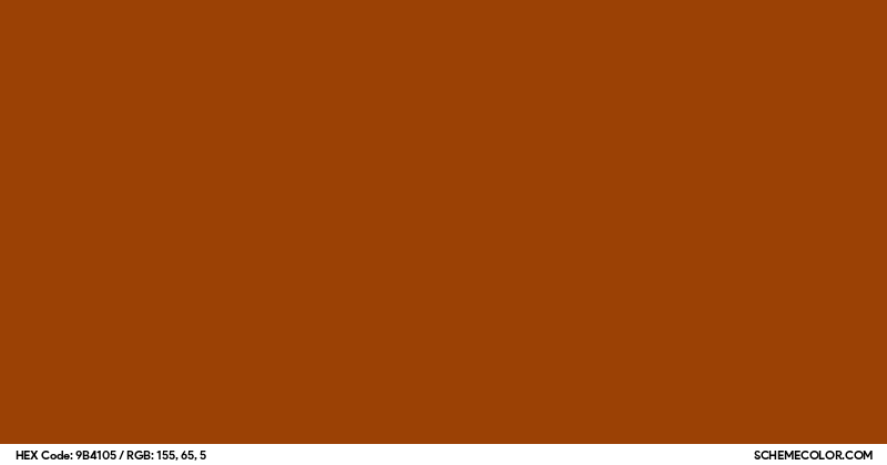 Image of #9B4105 color code