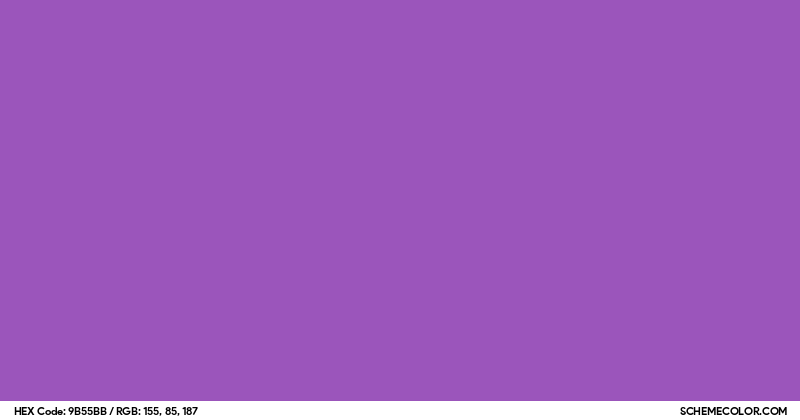 Image of #9B55BB color code
