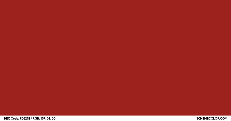 #9D221E Hex Color Code - SchemeColor.com