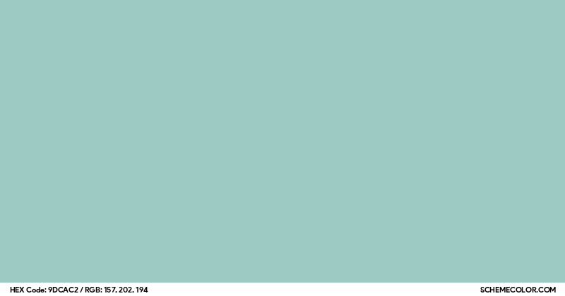 Image of #9DCAC2 color code