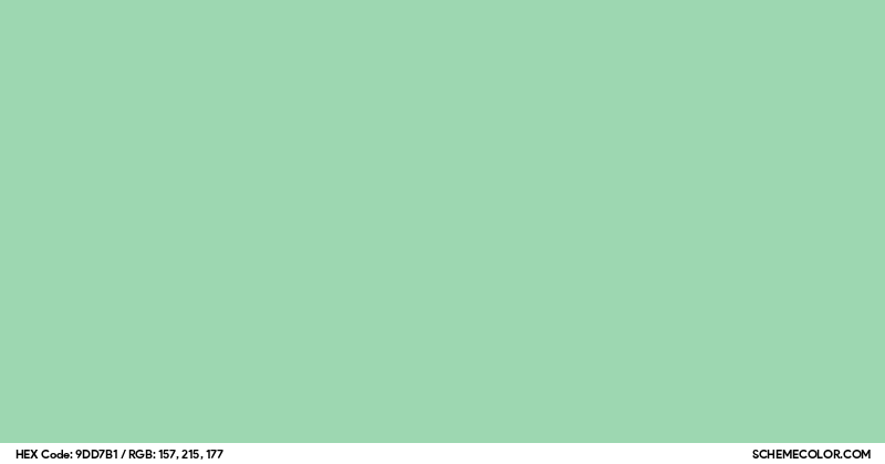 #9DD7B1 Hex Color Code - SchemeColor.com