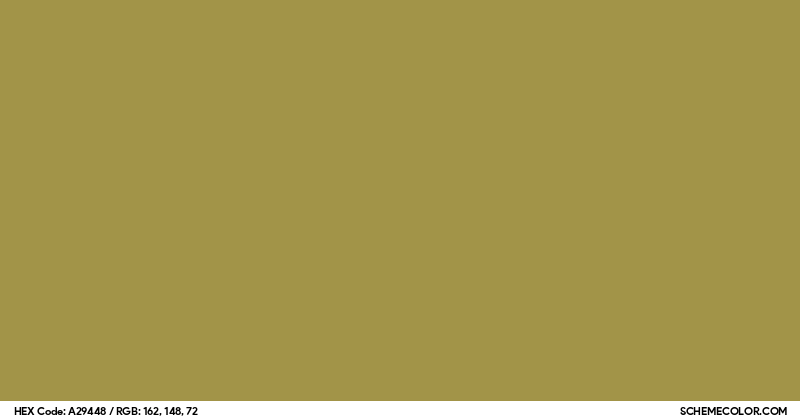 #A29448 Hex Color Code - SchemeColor.com