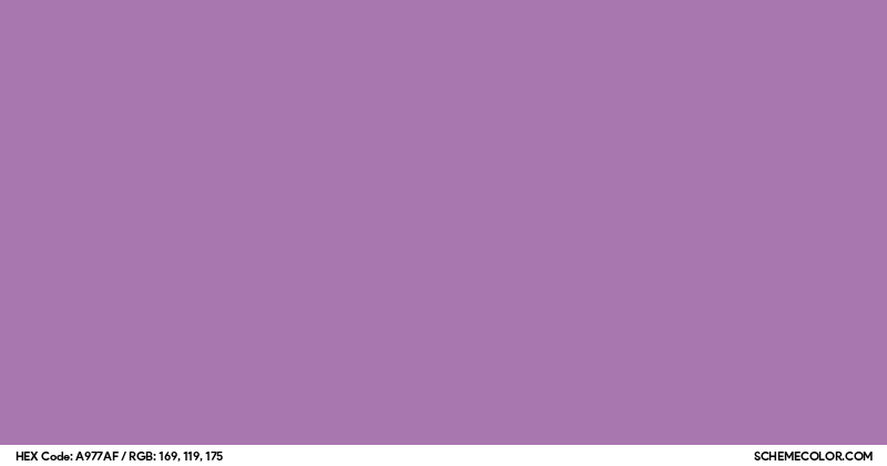 #A977AF Hex Color Code - SchemeColor.com