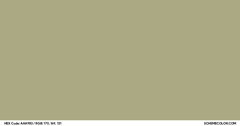 Image of #AAA983 color code