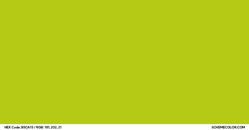 Acid Color Code #B5CA15 Hex Color Code - SchemeColor.com