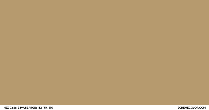 Image of #B69A6E color code