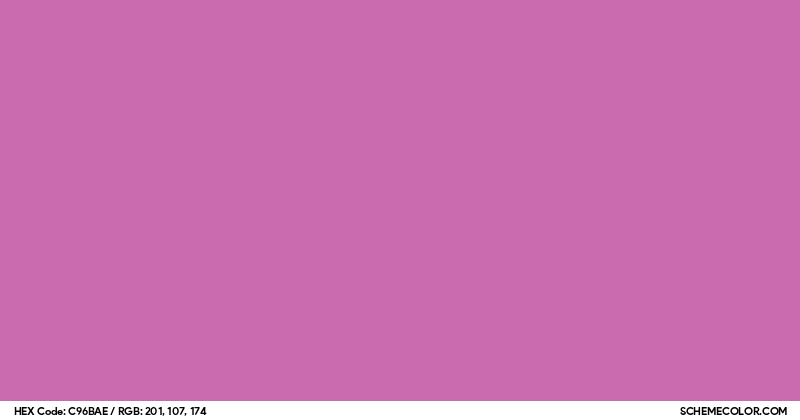 Image of #C96BAE color code