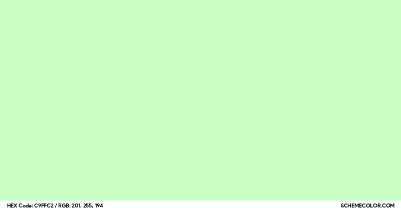 #C9FFC2 Hex Color Code - SchemeColor.com