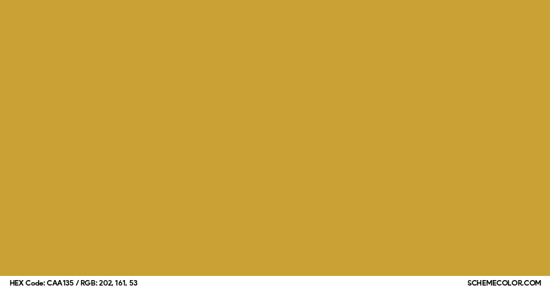 135 Color Code #CAA135 Hex Color Code - SchemeColor.com