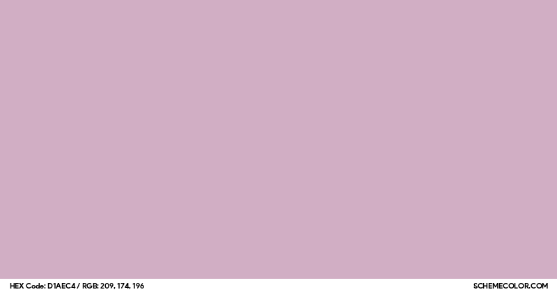 Image of #D1AEC4 color code