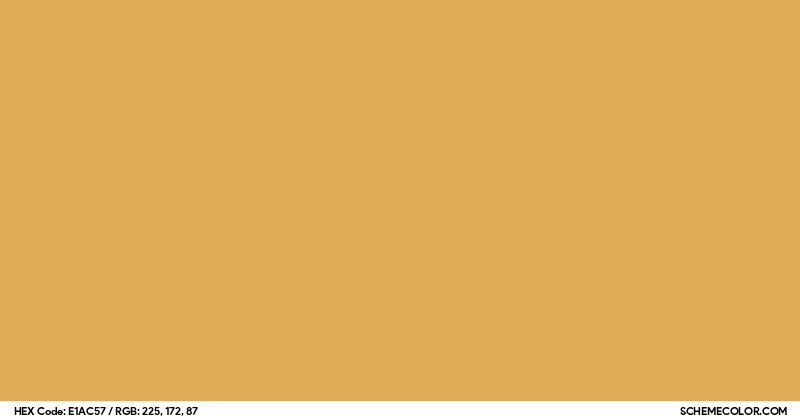 Image of #E1AC57 color code