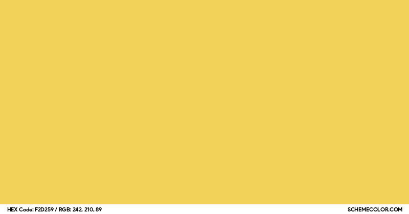 #F2D259 Hex Color Code - SchemeColor.com