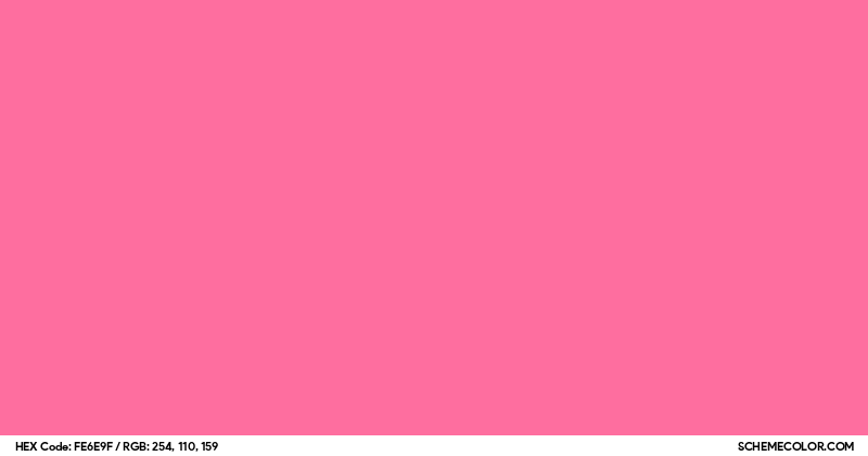 #FE6E9F Hex Color Code - SchemeColor.com