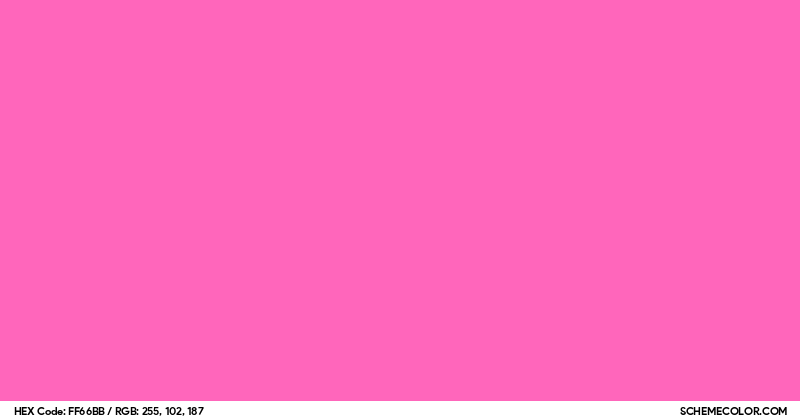 #FF66BB Hex Color Code - SchemeColor.com