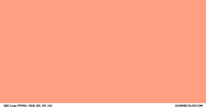 #FF9F82 Hex Color Code - SchemeColor.com